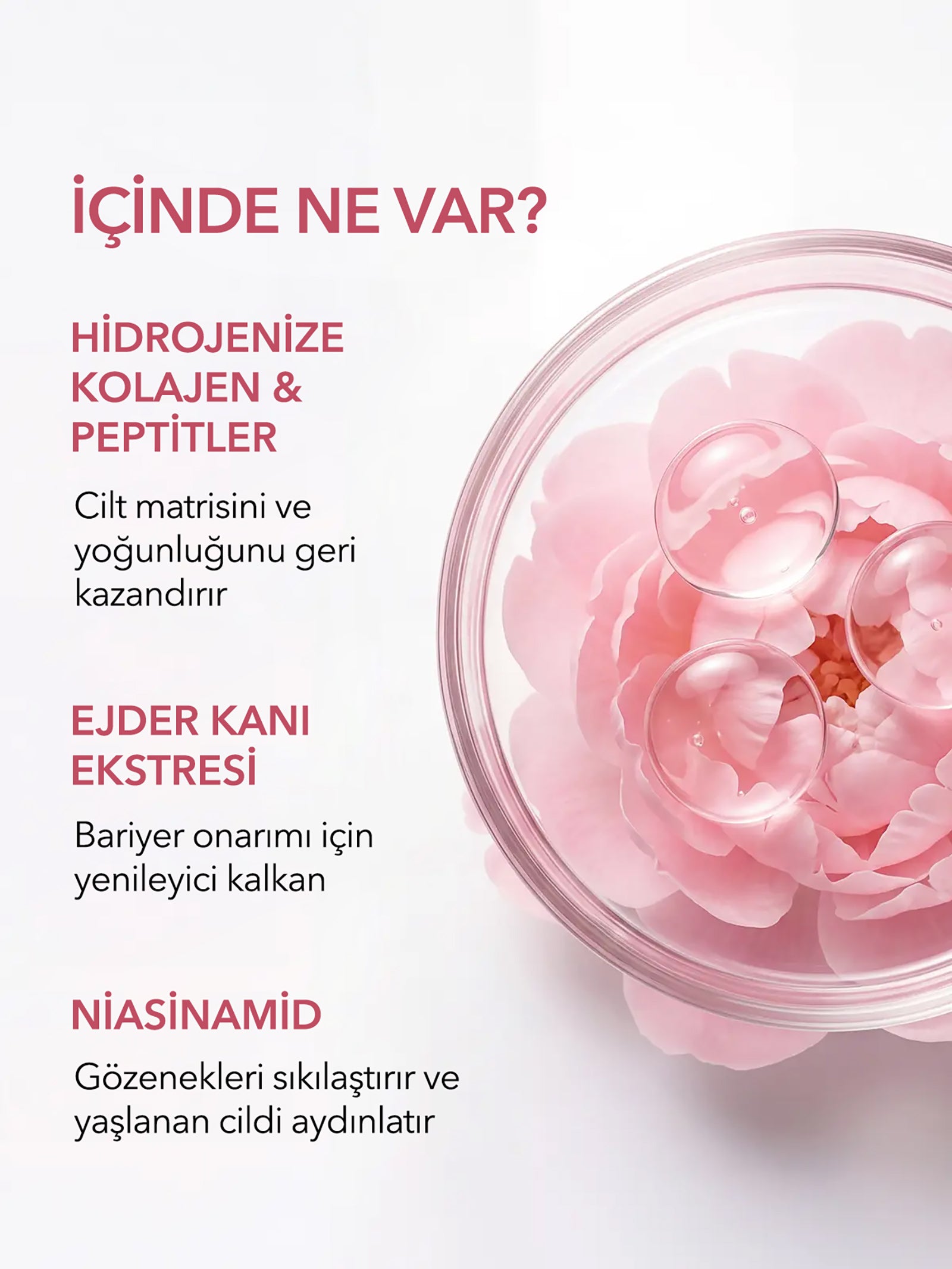 Anti Aging Serum - Kırışıklık Karşıtı ve Sıkılaştırıcı Yüz Serumu