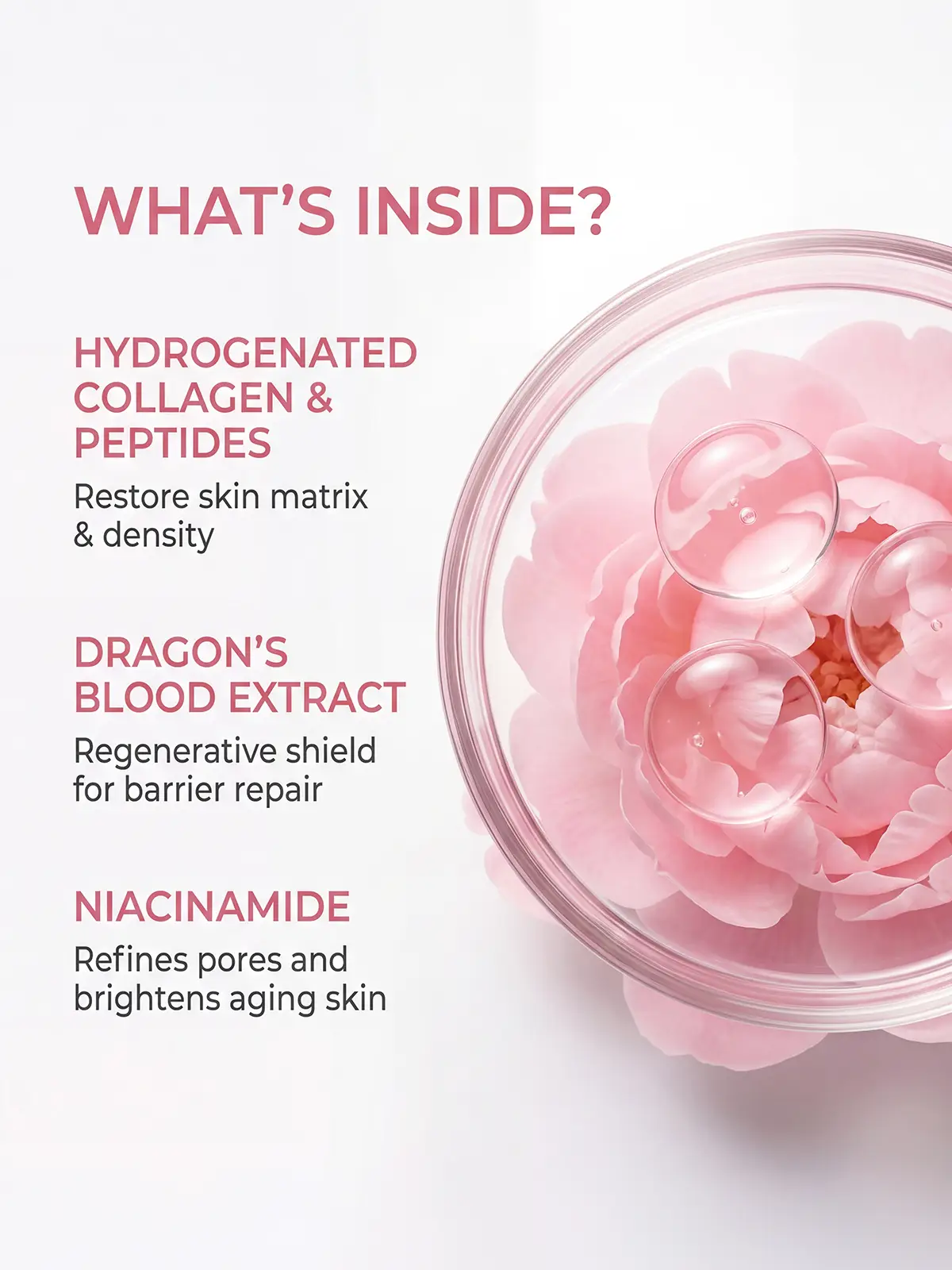 Maxel JU Anti-Aging Serum ingredients detail